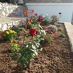 Seastone Αλμυροπόταμος