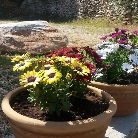 Seastone 度假居 *